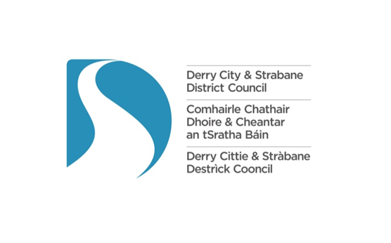 DCSDC Arts and Cultural Practitioner Award 2023