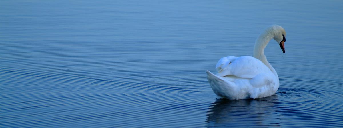 Public Invited to Share Views on Lough Neagh