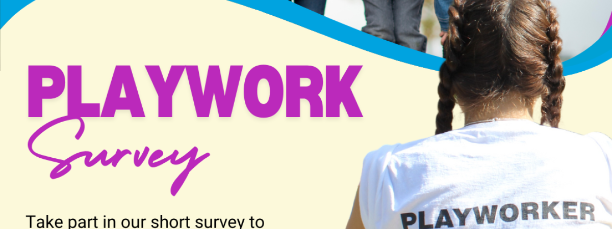 Playwork survey