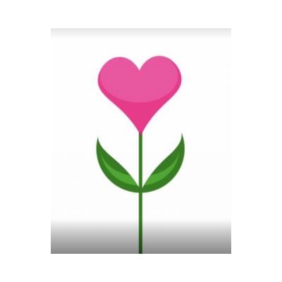 Non-profit organisation