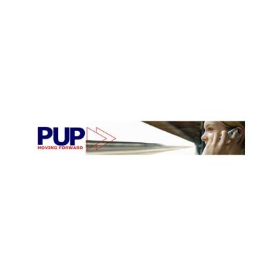 Progressive Unionist Party