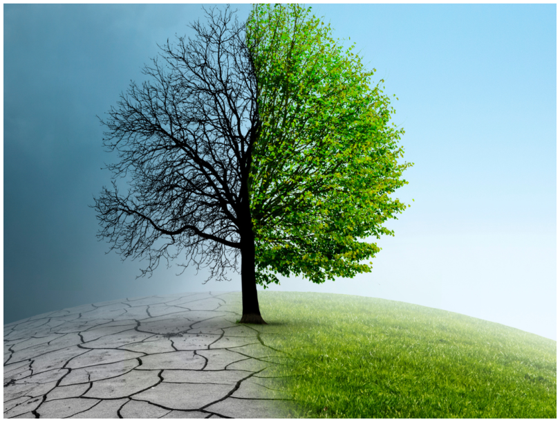 Caring For Our Earthly Home